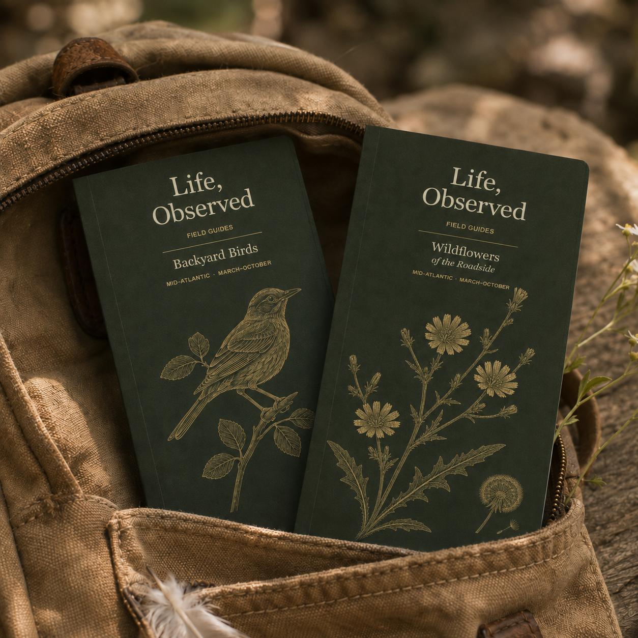 A realistic Life, Observed field guide book mockup with a deep olive cover, fern illustration, and acorn detail resting on natural linen with autumn leaves
