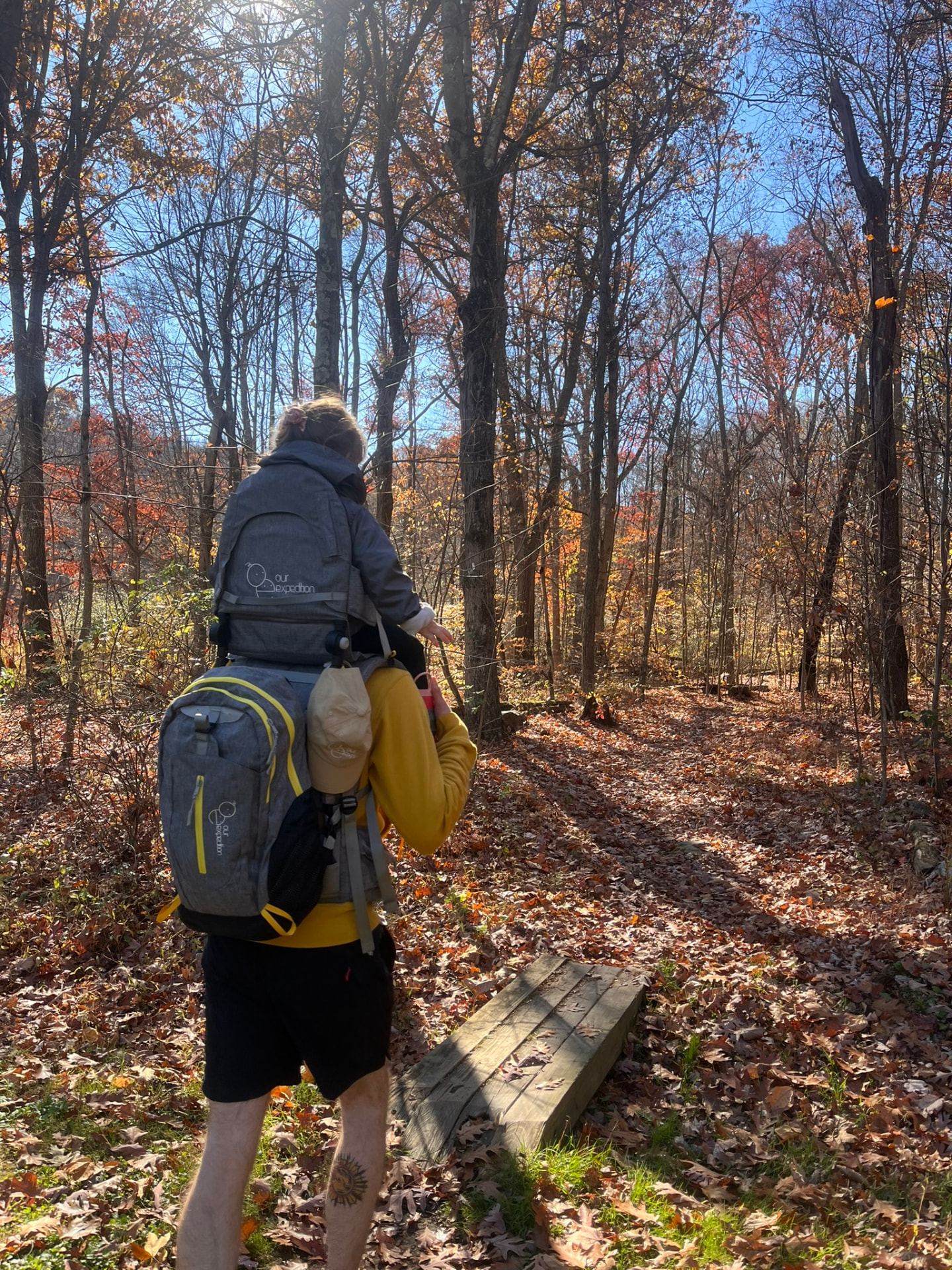 A parent carrying a young child on their back walks a leaf-covered trail through an autumn forest