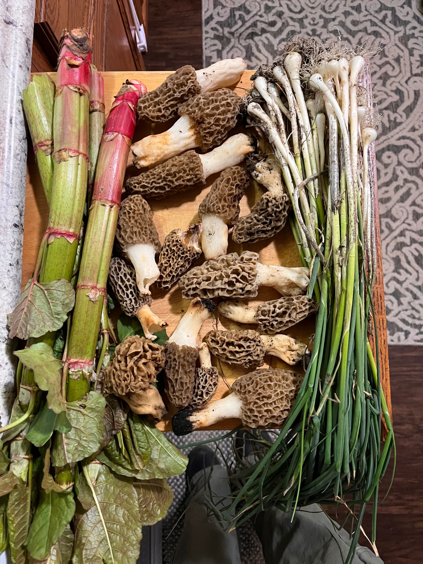 A spring foraging haul laid out on a wooden board: morel mushrooms, wild ramps, and rhubarb stalks
