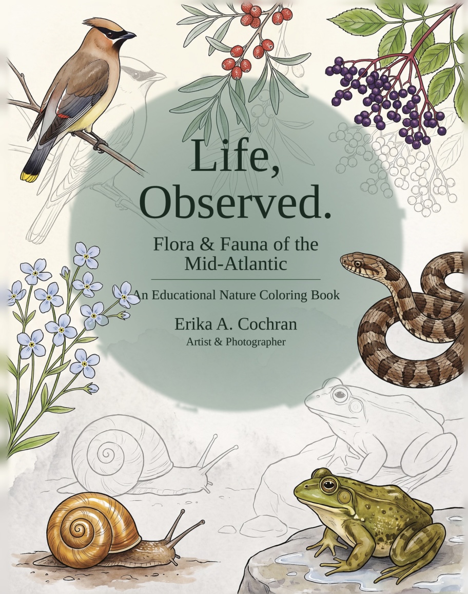 Cover of Life, Observed: A Coloring Book showing Mid-Atlantic flora and fauna illustrations